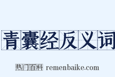 青囊经反义词是什么意思的图片